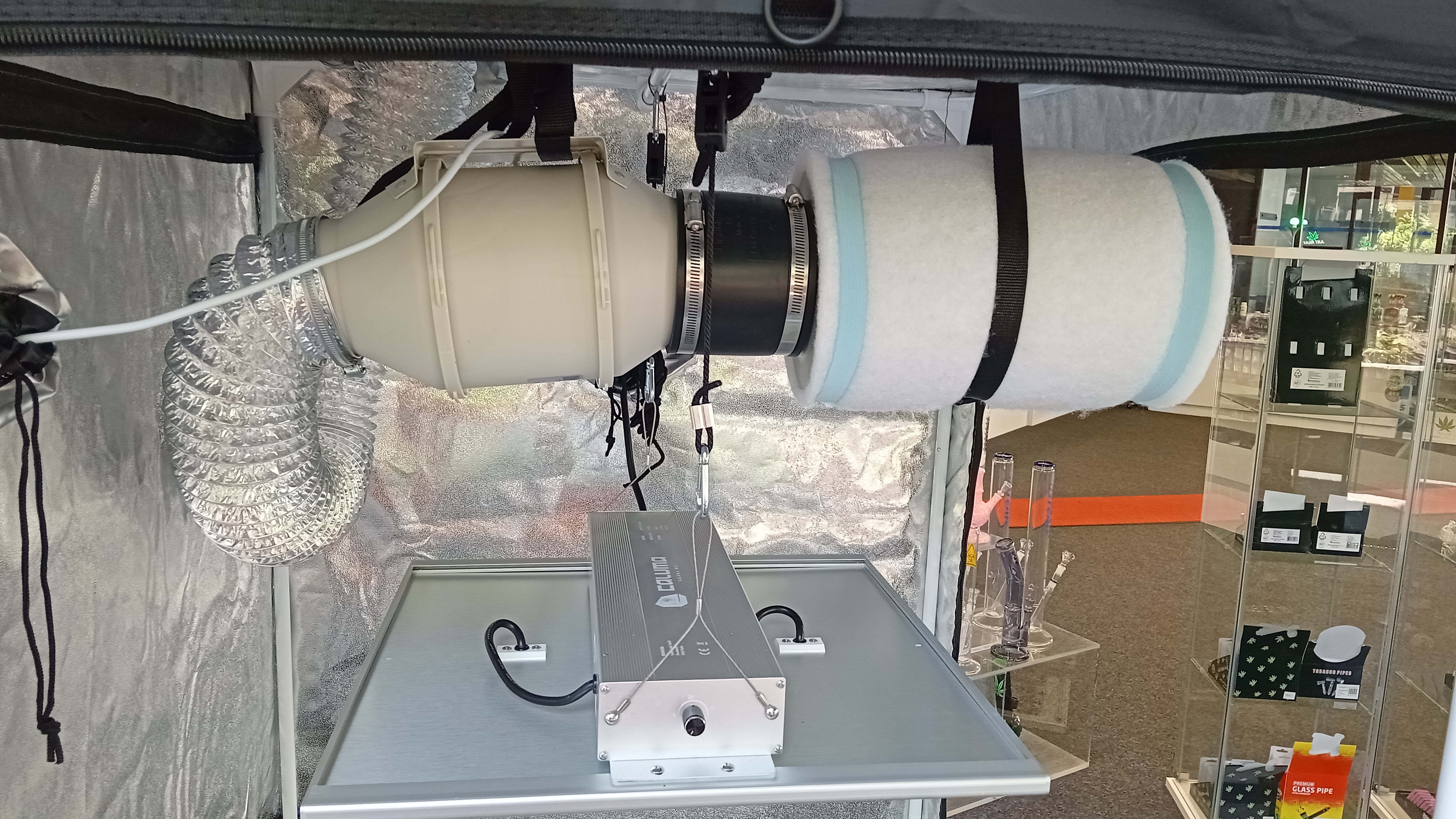 Aktivkohlefilter und Abluftsystem in einem Growzelt